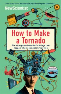 Book Cover for How to Make a Tornado by New Scientist