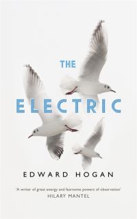 Book Cover for The Electric by Edward Hogan