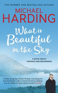 Book Cover for What Is Beautiful in the Sky by Michael P Harding