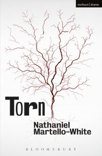 Book Cover for Torn by Nathaniel MartelloWhite