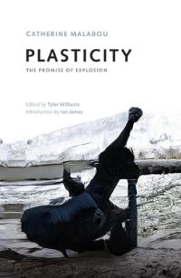 Book Cover for Plasticity by Catherine Malabou