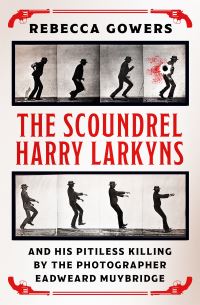 Book Cover for The Scoundrel Harry Larkyns by Rebecca Gowers