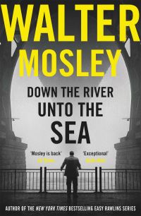 Book Cover for Down the River Unto the Sea by Walter Mosley