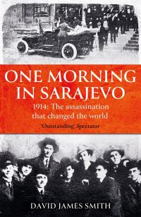 Book Cover for One Morning in Sarajevo by David James Smith