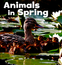 Book Cover for Animals in Spring by Kathryn Clay