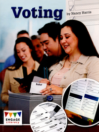 Book Cover for Voting by Nancy E Harris