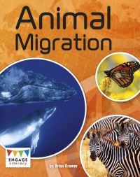 Book Cover for Animal Migration by Nancy E Harris