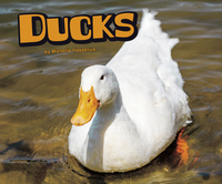 Book Cover for Ducks by Michelle M Hasselius