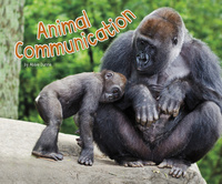 Book Cover for Animal Communication by Abbie Dunne