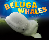 Book Cover for Beluga Whales by Elizabeth R Johnson
