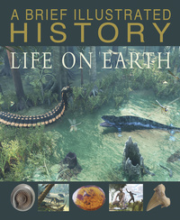 Book Cover for A Brief Illustrated History of Life on Earth by Steve Parker