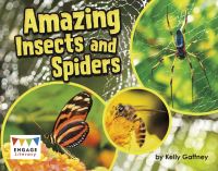 Book Cover for Amazing Insects and Spiders by Charlotte Guillain