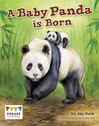 Book Cover for A Baby Panda Is Born by Jay Dale