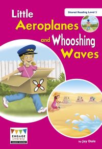Book Cover for Little Aeroplanes and Whooshing Waves by Danielle S Hammelef