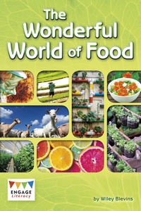 Book Cover for The Wonderful World of Food by Wiley Blevins