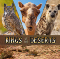 Book Cover for Kings of the Deserts by Lisa J Amstutz