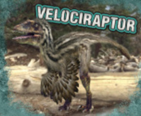 Book Cover for Velociraptor by Tammy Gagne