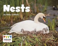 Book Cover for Nests by Kelly Gaffney
