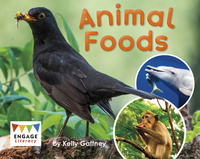 Book Cover for Animal Foods by Kelly Gaffney
