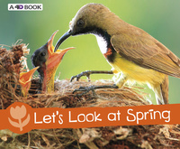 Book Cover for Let's Look at Spring by Sarah L Schuette