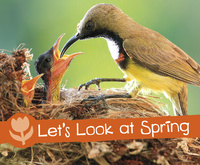 Book Cover for Let's Look at Spring by Sarah L Schuette