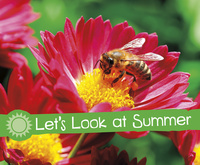 Book Cover for Let's Look at Summer by Sarah L Schuette