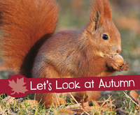 Book Cover for Let's Look at Autumn by Sarah L Schuette