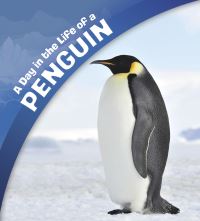 Book Cover for A Day in the Life of a Penguin by Sharon Katz Cooper