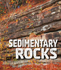 Book Cover for Sedimentary Rocks by Ava Sawyer