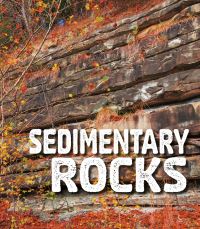 Book Cover for Sedimentary Rocks by Ava Sawyer