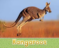 Book Cover for Kangaroos by Sara Louise Kras