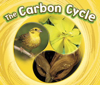 Book Cover for The Carbon Cycle by Catherine Ipcizade