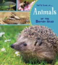 Book Cover for Animals of the British Isles by Lucy Beevor