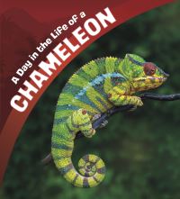 Book Cover for A Day in the Life of a Chameleon by Lisa J Amstutz