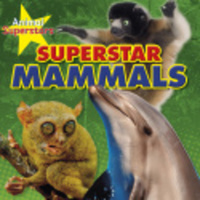 Book Cover for Superstar Mammals by Louise Spilsbury