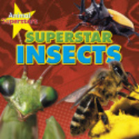 Book Cover for Superstar Insects by Louise Spilsbury