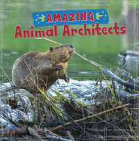 Book Cover for Amazing Animal Architects by Yvonne Pearson, Rebecca Rissman, Mari C Schuh