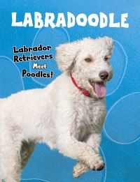 Book Cover for Labradoodle by Sue Bradford Edwards