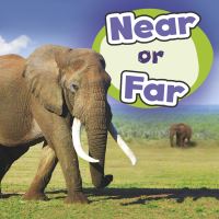 Book Cover for Near or Far by Wiley Blevins