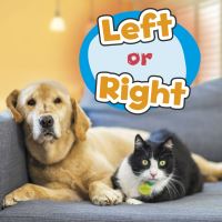 Book Cover for Left or Right by Wiley Blevins