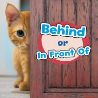 Book Cover for Behind or in Front Of by Wiley Blevins