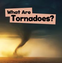 Book Cover for What Are Tornadoes? by Mari C Schuh
