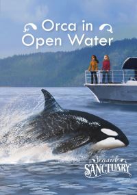 Book Cover for Orca in Open Water by Emma Carlson Berne