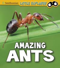 Book Cover for Amazing Ants by Megan Cooley Peterson