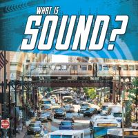 Book Cover for What Is Sound? by Jody Sullivan Rake