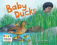 Book Cover for Baby Ducks by Jay Dale