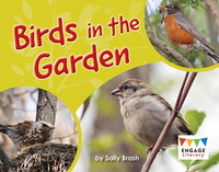 Book Cover for Birds in the Yard by Sally Brash