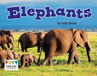 Book Cover for Elephants by Kelly Gaffney