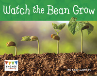 Book Cover for Watch the Bean Grow by Kelly Gaffney