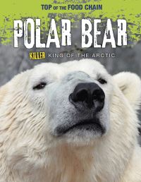 Book Cover for Polar Bear by Louise Spilsbury